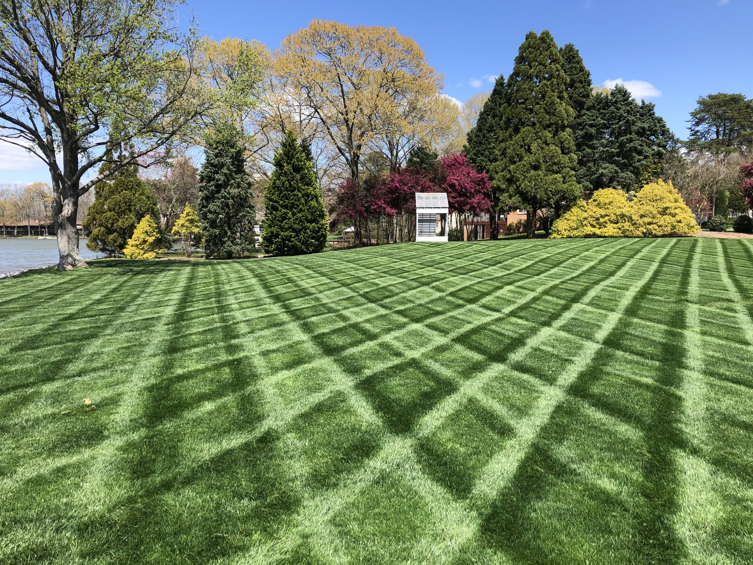 Local lawn mowing companies hotsell